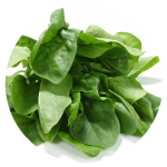 more <b>iron</b> than spinach